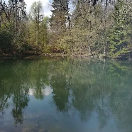 Sobe Flora Spodnje Gorje