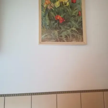 Sobe Flora * Spodnje Gorje